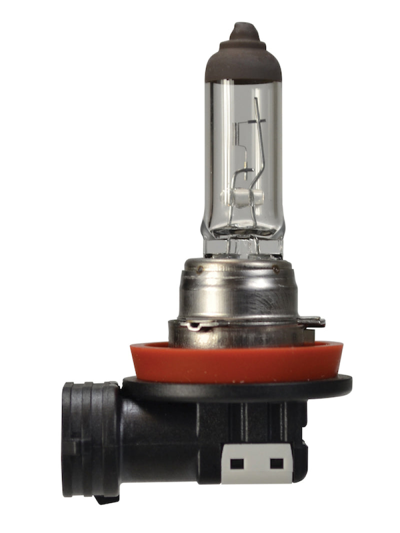 Hella Bulb H16 12V 19W Pgj193 Sb H16SB H16SB Photo - Primary