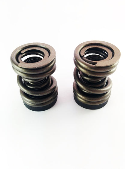 DDP Dodge 94-98 P-Pump 3000 & 4000 RPM Governor Spring Kit DDP 3/4KGSK DDP 3/4KGSK User 1