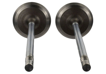Ford Racing Coyote 5.2L Lightweight Intake Valve - Set of 8 M-6507-M52 M-6507-M52 Photo - Unmounted