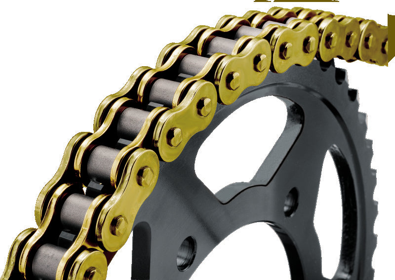 BikeMaster 520Hx110 Chain - Gold/Gold 197658 197658 Photo - Primary
