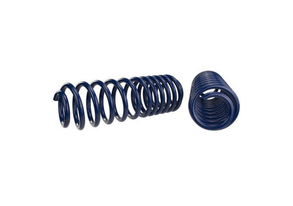Ford Performance Parts Ford Racing 2007-2014 Mustang Shelby GT500 Springs M-5300-L Photo - Unmounted