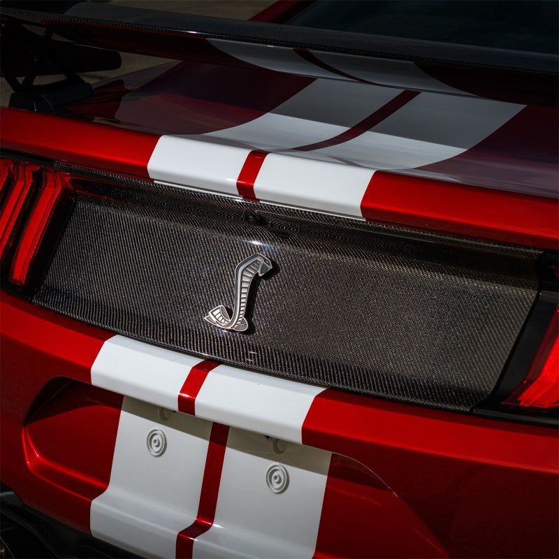 Ford Racing 20-21 Mustang GT500 Deck Lid Trim Panel M-16600-MCF M-16600-MCF Photo - Mounted