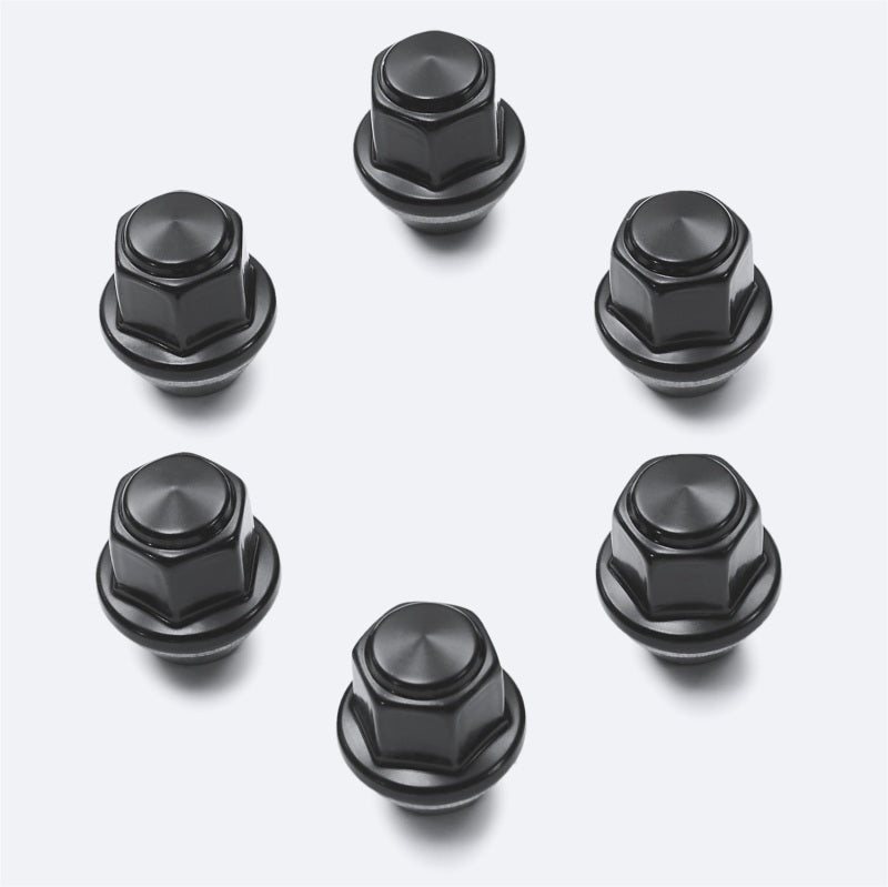 Ford Racing M12 x 1.5 Black Lug Nut - Set of 6 M-1012-BR M-1012-BR Photo - Primary