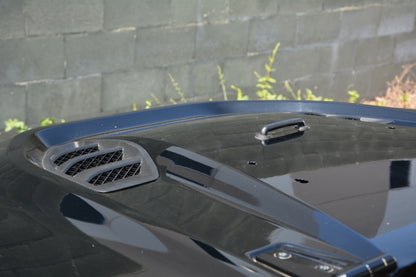 DV8 Offroad 07-18 Jeep Wrangler JK Rubicon 10th Anniversary Replica Hood HDMB07-TA HDMB07-TA Photo - Mounted