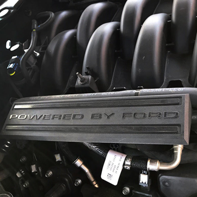 Ford Racing 18-19 Coyote 5.0L TiVCT Intake Manifold Dress Up Kit M-9680-M50BA M-9680-M50BA Photo - Primary