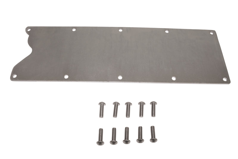 Moroso GM LS1/LS2/LS6/C5R Engine Storage Plate - 1/8in - Steel 25179 25179 Photo - Primary