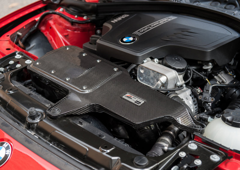 AWE Tuning BMW 228i/320i/328i/428i S-FLO Carbon Intake 2660-13034 2660-13034 Photo - Mounted