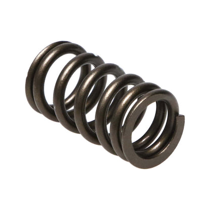 Manley Nissan (VQ35DET) 24pc Valve Springs 22170-24 22170-24 Photo - Primary