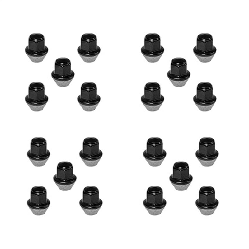 Ford Performance Parts Ford Racing 15-18 Mustang Black Lug Nut Kit (20 Lug Nuts) M-1012K-MB Photo - Primary
