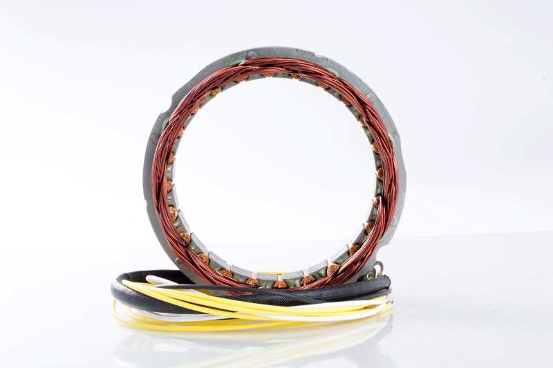 Ricks Motorsport Electrics Ricks Motorsport StatorHonda 21-100 21-100 User 1