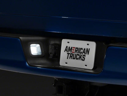 Raxiom 03-18 Dodge RAM 1500 Axial Series LED License Plate Lamps R109176 R109176 Photo - Close Up