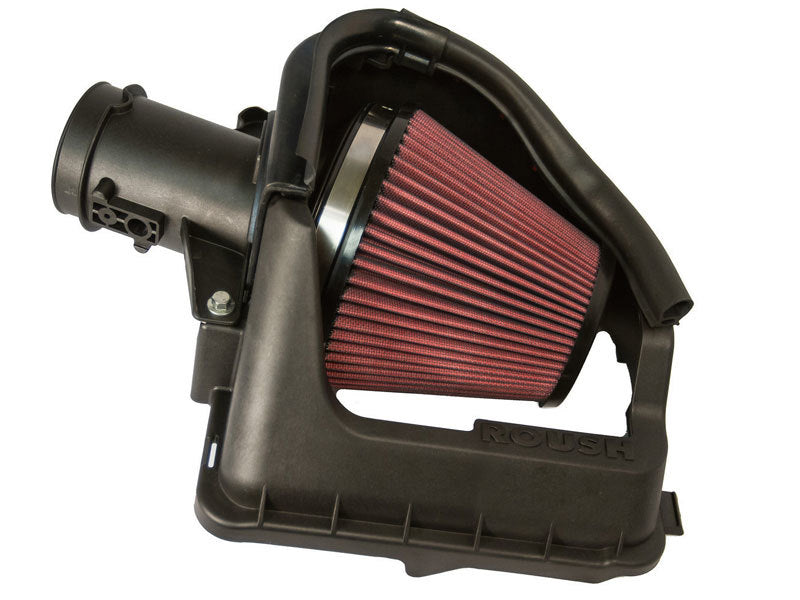 ROUSH 2012-2014 Ford F-150 3.5L EcoBoost Cold Air Intake 421641 421641 Photo - Primary