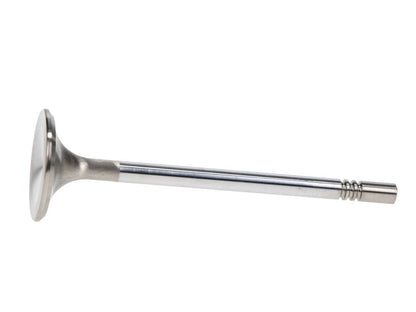 Manley Ford Racing Cylinder Head 4.6L & 5.4L SOHC 36.0mm Race Master Exhaust Valves *Set of 8* 11637-8 11637-8 User 1