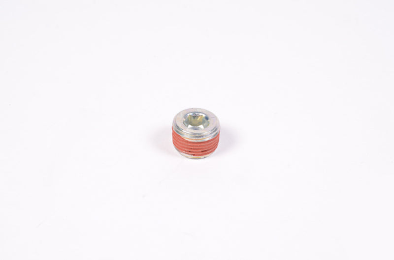 Radium 3/8 Npt Plug 14-0173 Photo - Primary
