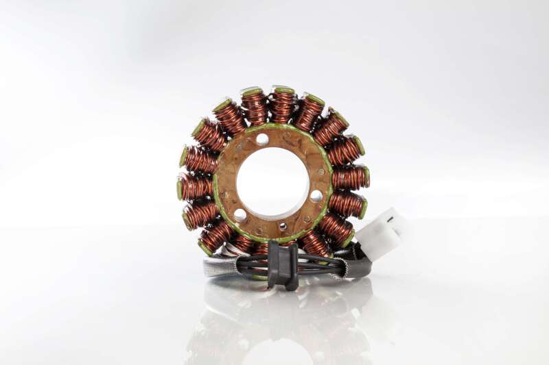 Ricks Motorsport Electrics Ricks Motorsport New OEM Style Kawasaki Stator 21-226 21-226 User 1