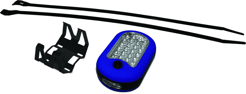 DragonFire Racing Lighted Switch LED Dome Light Kit - Blue 521124 521124 Photo - Primary
