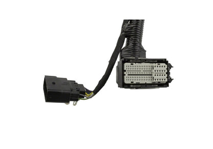 Ford Performance Parts Ford Racing 5.0L Coyote Engine Harness for Automatic Transmission M-12508-M50A Photo - Unmounted