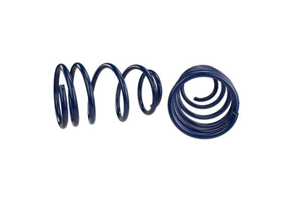 Ford Performance Parts Ford Racing 2007-2014 Mustang Shelby GT500 Springs M-5300-L Photo - Unmounted