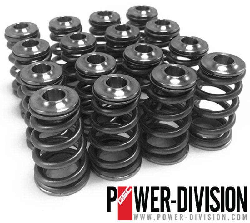 GSC P-D Subaru EJ Single Conical Valve Spring Titanium Retainer & Spring Seat Kit 5073 5073 User 1