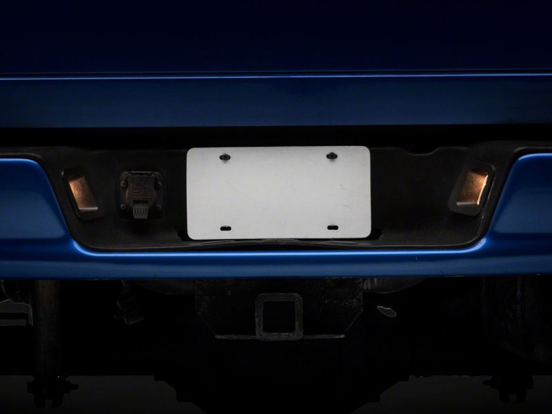 Raxiom 02-10 Dodge RAM 1500/2500 Axial Series OE Replacement License Plate Lamps R145024 R145024 Photo - Close Up