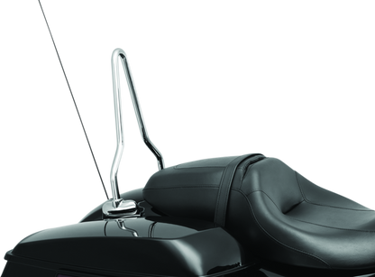 Kuryakyn Sissy Bar For 14-20 Touring 6585 6585 User 1