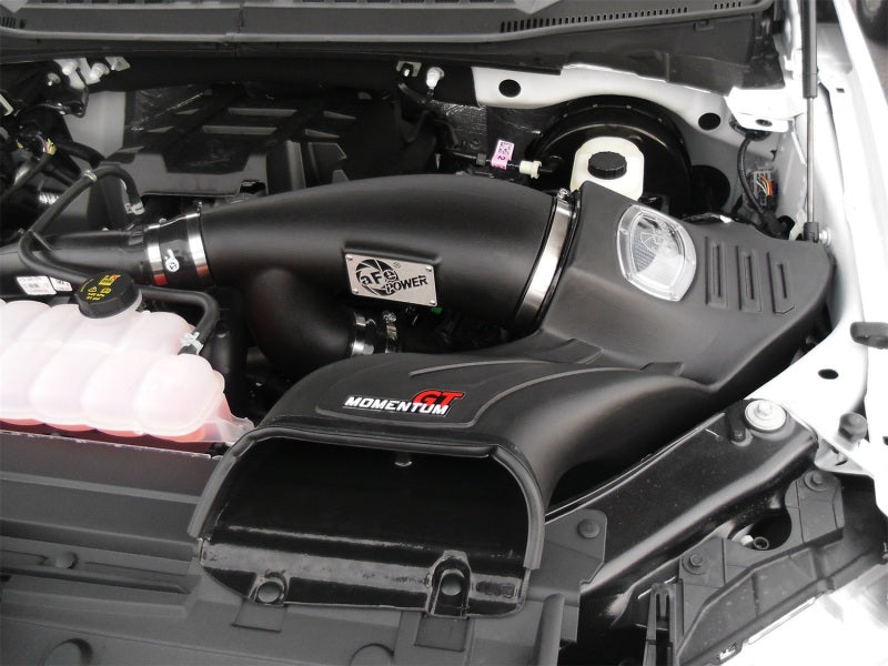 aFe Momentum GT Pro DRY S Cold Air Intake System: Ford F-150 EcoBoost 15-1 51-73112-1 Photo - Mounted