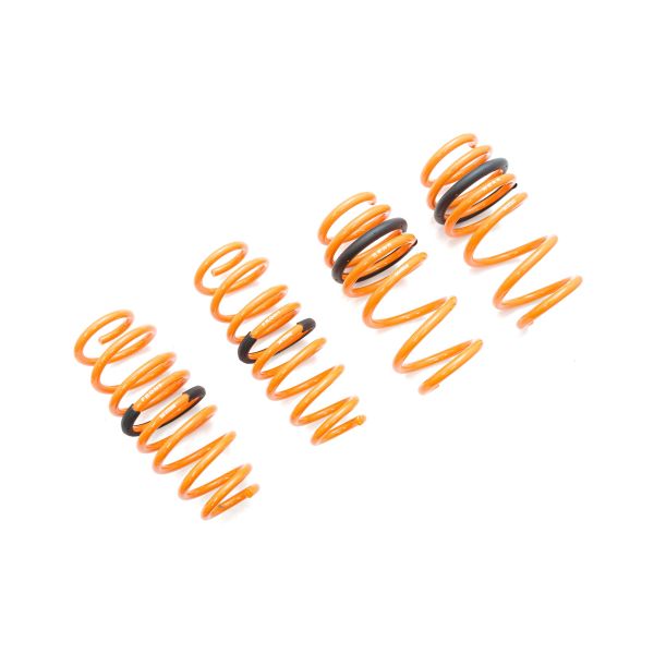Megan Racing Lowering Springs Tesla Model 3 17+