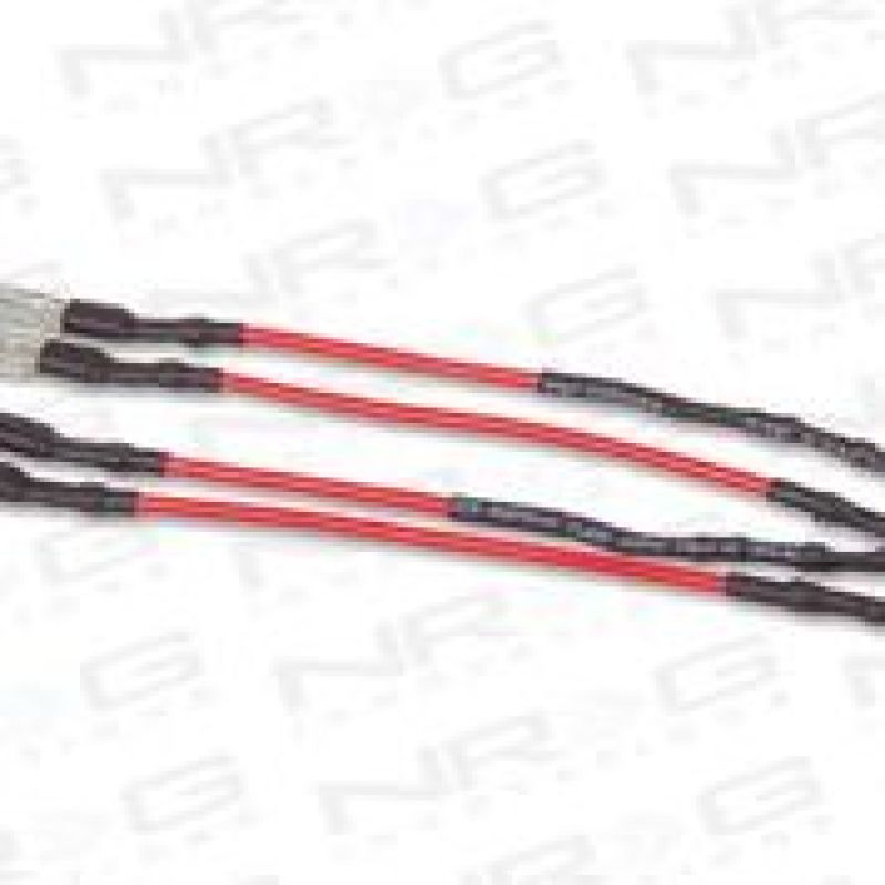 NRG Fused 2 ohm delete resistor 2pcs. SRK-RES User 1