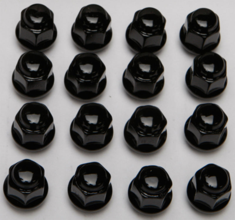ITP Lug Nut (Box) - 10mm Taper - Black BLUG11BX BLUG11BX User 1