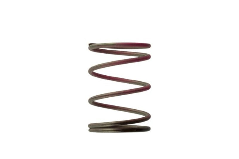Turbosmart 2011 WG38/40/45 7PSI Outer Spring Brown/Pink TS-0505-2006 Photo - Primary