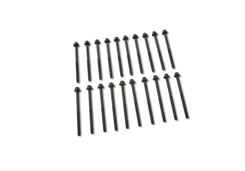 Ford Racing 5.0L/5.2L Coyote 12MM Long Head Bolt Kit M-6067-M501280 M-6067-M501280 Photo - Unmounted