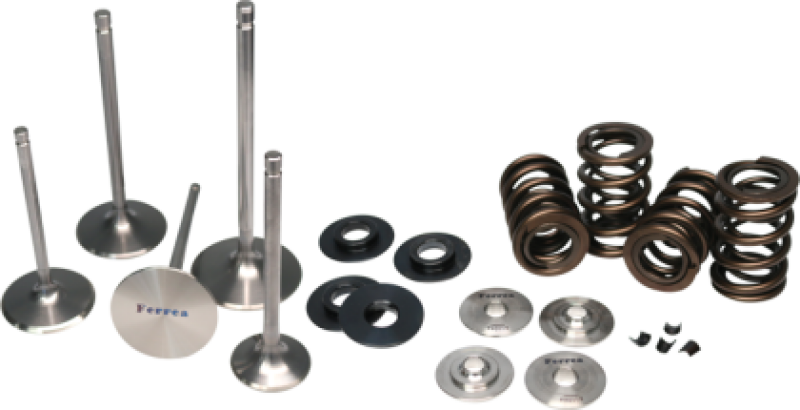 Ferrea 00-09 Suzuki DRZ/LTZ 400 Single Valve Spring Kit KT9012 KT9012 User 1