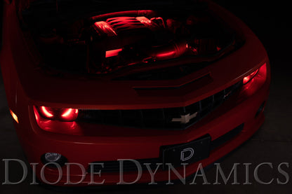Diode Dynamics RGBW Engine Bay Strip Kit 2pc Multicolor DD0440 DD0440 User 2