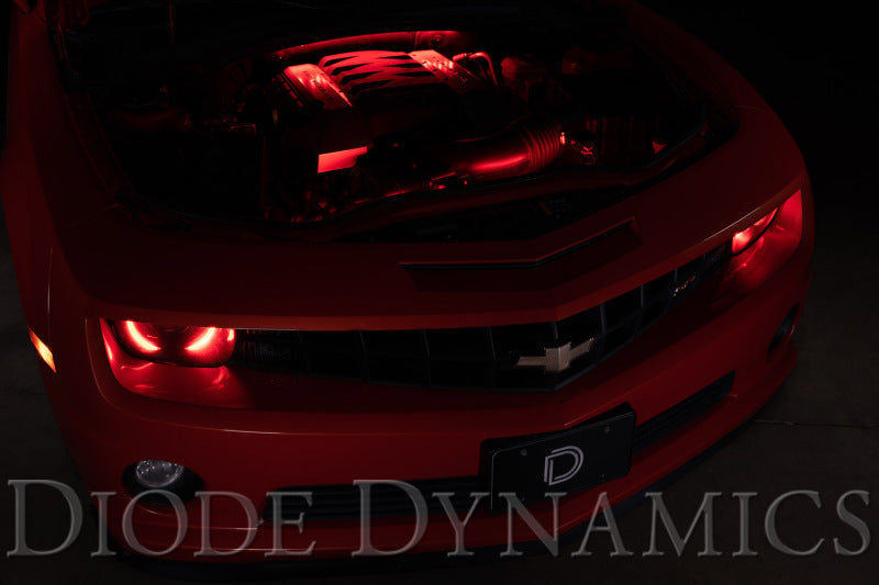 Diode Dynamics RGBW Engine Bay Strip Kit 4pc Multicolor DD0444 DD0444 User 2