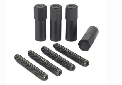 Ford Valve Cove Bolt Kit 4pk Black w/Ford Logo FRD302-316 302-316 Photo - Unmounted