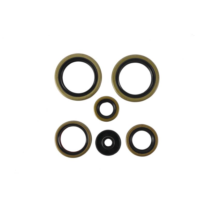 Vertex Pistons Vertex Gaskets 21-23 Gas-Gas MC125 Oil Seal Kit 822370 822370 Photo - Primary