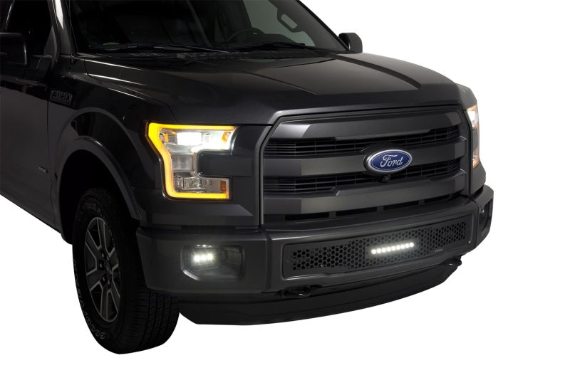 Putco 2015-2017, Ford F150 - Stainless Steel Black Punch Design w/ 10" 88160L Photo - Mounted