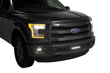 Putco 2015-2017, Ford F150 - Stainless Steel Black Punch Design w/ 10" 88160L Photo - Mounted