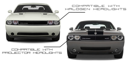 ORACLE Lighting Oracle Dodge Challenger 08-14 Halo Kit - Dynamic - Dynamic 1317-332 1317-332 Photo - lifestyle view