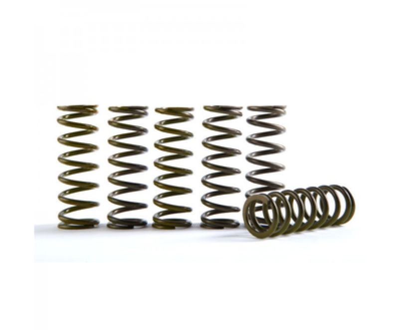 Hinson Clutch Hi-Temp Clutch Spring Kit - Set of 5 CS216-5-0315 CS216-5-0315 User 1