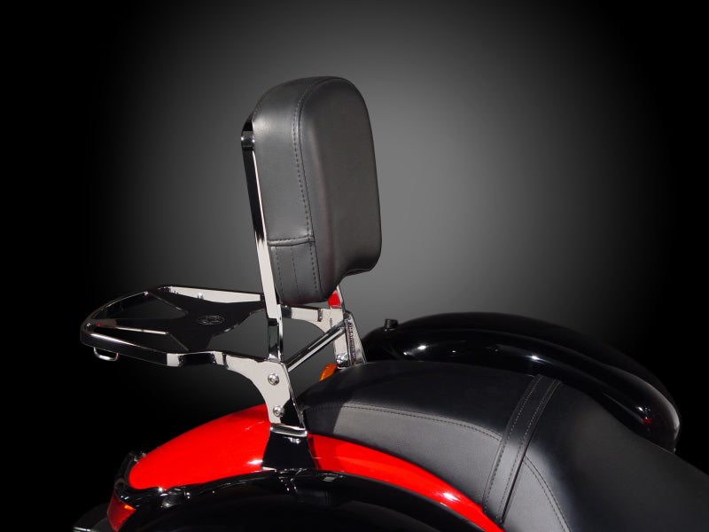 National Cycle Paladin Quickset Mount System P9BR014 P9BR014 User 1
