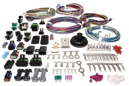 FAST Fuel Management Wiring Harness 301105 Photo - Primary