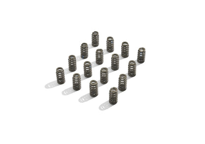 Ford Boss 302R Valve Spring Kit 2011-up 5.0L Engine FRDM6513-M50BR M-6513-M50BR Photo - Unmounted