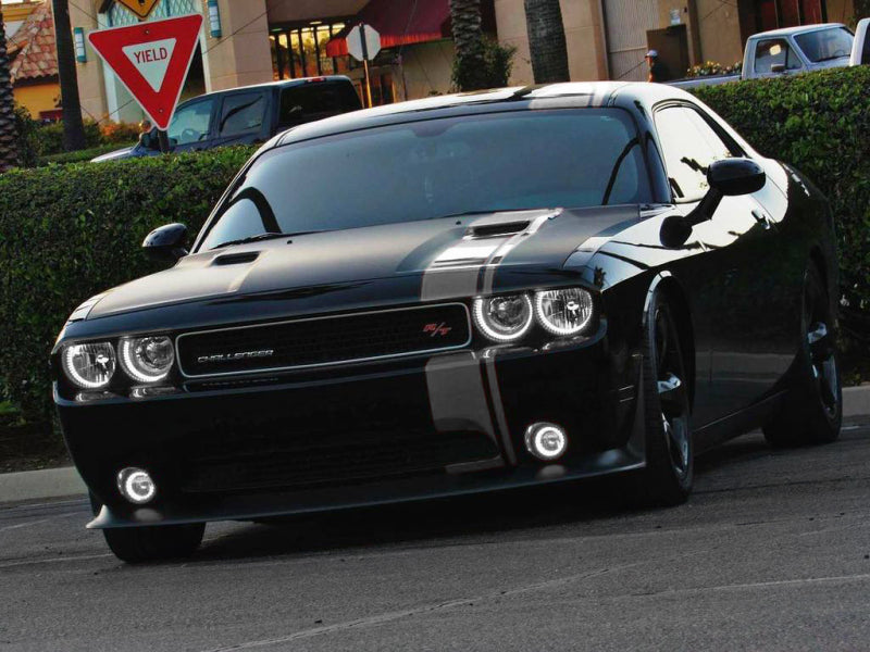 ORACLE Lighting Oracle Dodge Challenger 08-14 LED Waterproof Halo Kit - White 1292-001 1292-001 Photo - in package