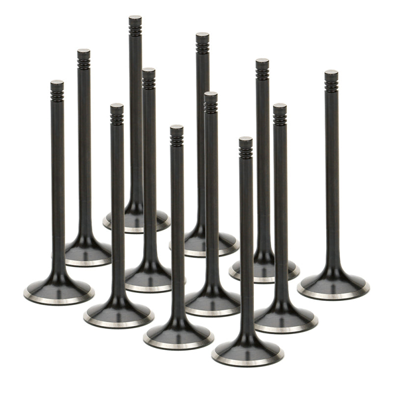 Supertech Audi/VW 1.8T 5V Black Nitride Exhaust Valve - Set of 12 AEVN-1103-12 AEVN-1103-12 User 1