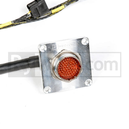 Rywire Honda F/H-Series Mil-Spec Eng Harness w/OBD1 Dist/Inj/Alternator & 92-95 Plugs (Adapter Req) RY-H1-MILSPEC RY-H1-MILSPEC Photo - Primary