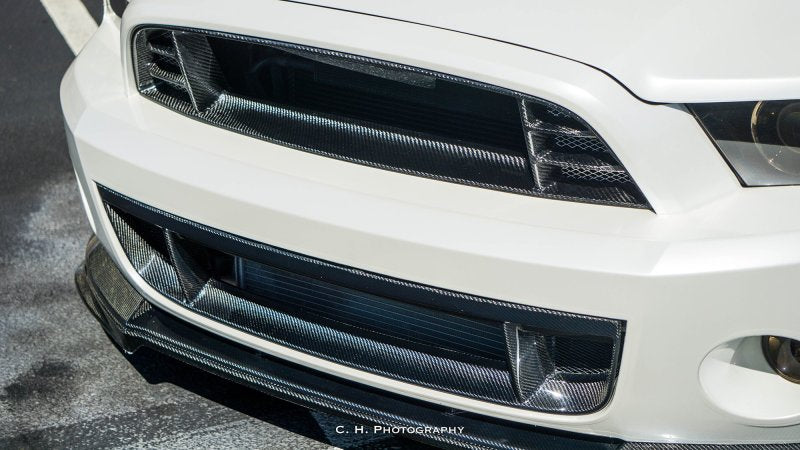 Anderson Composites 10-14 Ford Mustang/Shelby GT500 Front Lower Grille AC-LG1213FDGT AC-LG1213FDGT User 7