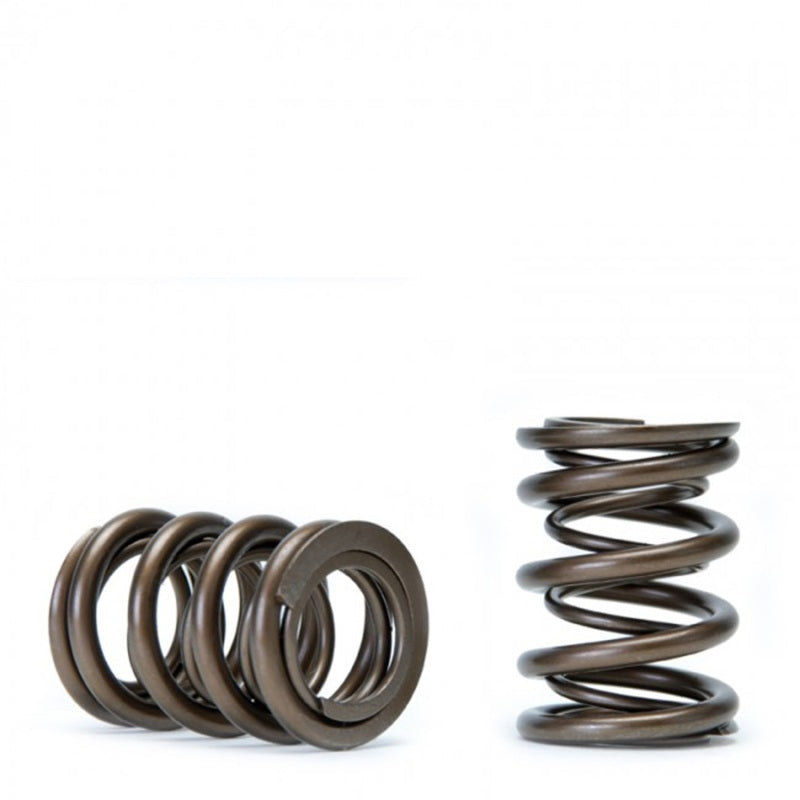 Skunk2 Alpha Series Valve Spring Set Honda/Acura DOHC H VTEC 311-05-1360 Photo - Unmounted