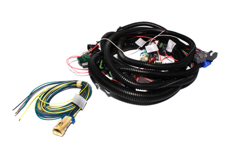 FAST Fuel Management Wiring Harness 301106 Photo - Primary