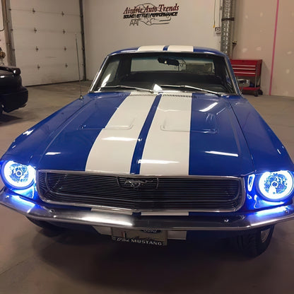 ORACLE Lighting Oracle Pre-Installed Lights 7 IN. Sealed Beam - White Halo 6905-001 6905-001 Photo - lifestyle view
